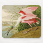 Roseate Spoonbill Mousepad mousepads by chartingnature Roseate Spoonbill Mousepad mousepads