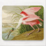 Roseate Spoonbill Mousepad