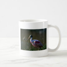 Roseate Spoonbill Mug