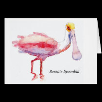 Roseate Spoonbill note card cards