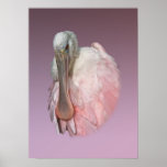 Roseate Spoonbill Portrait Poster or Print