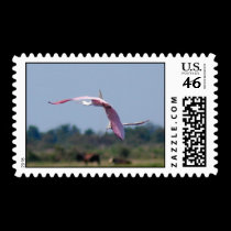 Roseate Spoonbill stamps