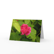 Rosebud notecard