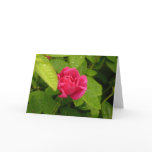 Rosebud notecard