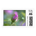 rosebud postage