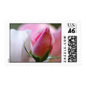 Rosebud Stamp stamp