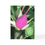 Rosebuds Card