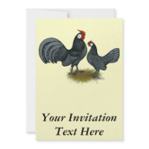 Rosecomb Blue Bantams Custom Invitation