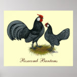 Rosecomb Blue Bantams posters