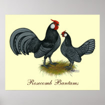Rosecomb Blue Bantams Print