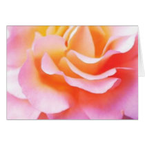 Roseheart cards