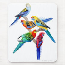 Rosella Parrots Mousepad