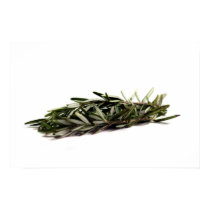 Rosemary (9692) posters by hlehnerer Rosemary (9692) posters