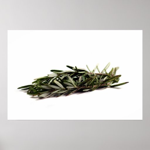 Rosemary (9692) posters
