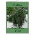 Rosemary Beach, Rosemary cards