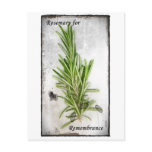 Rosemary postcards