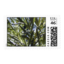 Rosemary upclose postage