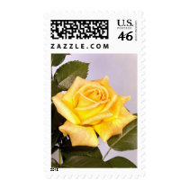 Roses 219 - 1 med stamp