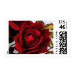 Roses 2 290 1 stamps