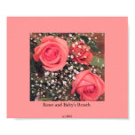 roses, flowers, baby's, breath, pauper,
