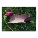 Roses and bark(customizable) cards