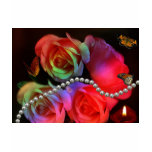 roses and butterflies tee shirts