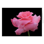 Roses and Chocolates Card Roses and Chocolates Card