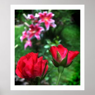 Roses and Lilies print