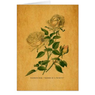Roses are Golden
