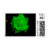 ROSES ARE GREEN ??? postage