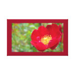 Roses Are Red Canvas Print