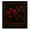 Roses are Red My Love posters by ccarter1 Roses are Red My Love posters