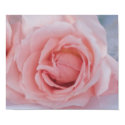 Roses Art Print