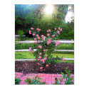Roses At Dusk posters