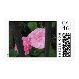 Roses behind bars stamp