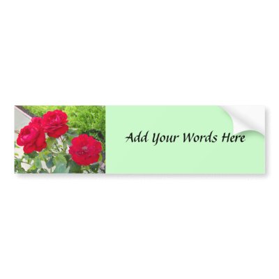 Roses Bumper Sticker by DonnaGrayson_Photos