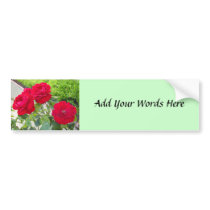 Roses bumper stickers