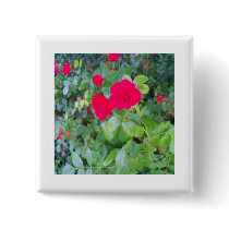 roses buttons