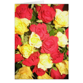 Roses greeting card