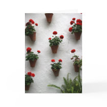 Roses cards