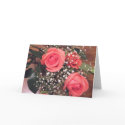 Roses cards by JLWinther Roses cards