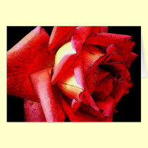 Roses cards