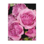 Roses for Mother Post Cards