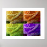 Roses for Seasons-Print