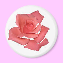 Roses for us magnets