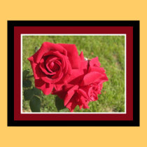 Roses for You Poster posters