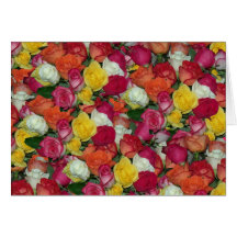 roses galore greeting cards