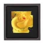 Roses Gift Box by Leslie Harlow premium gift boxes
