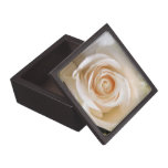 Roses Gift Box by Leslie Harlow premium gift boxes