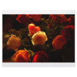 Roses I - Orange, Red and Gold Glory Letterhead Template